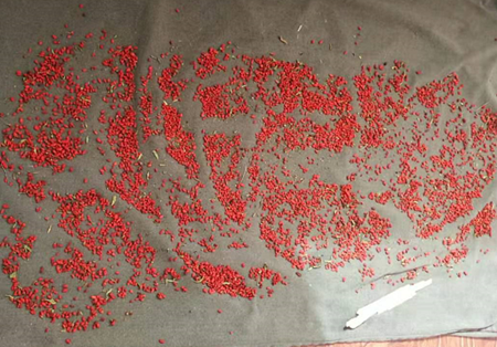 菲律宾欧博(ABG)官方网站